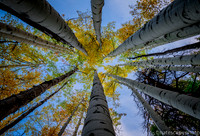 Colorado