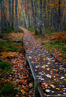 Maine